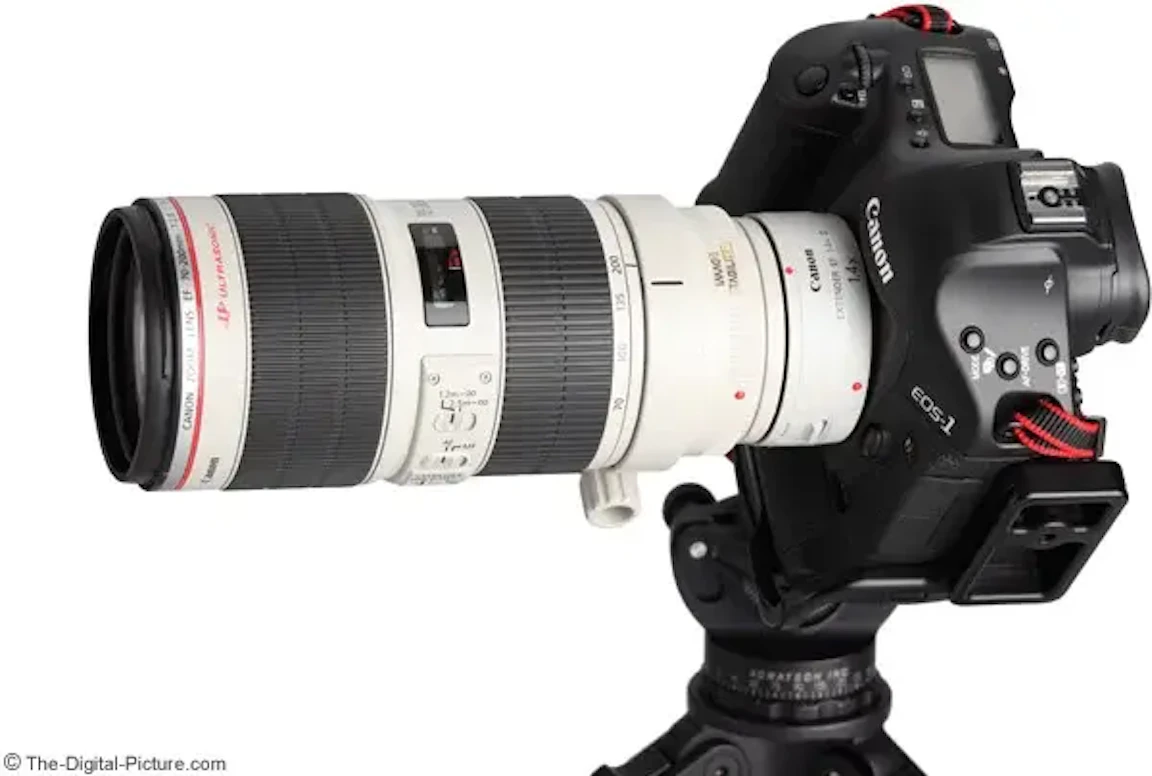 2026年版】Canon EF 70-200mm F2.8L IS II USMのレビュー比較まとめ